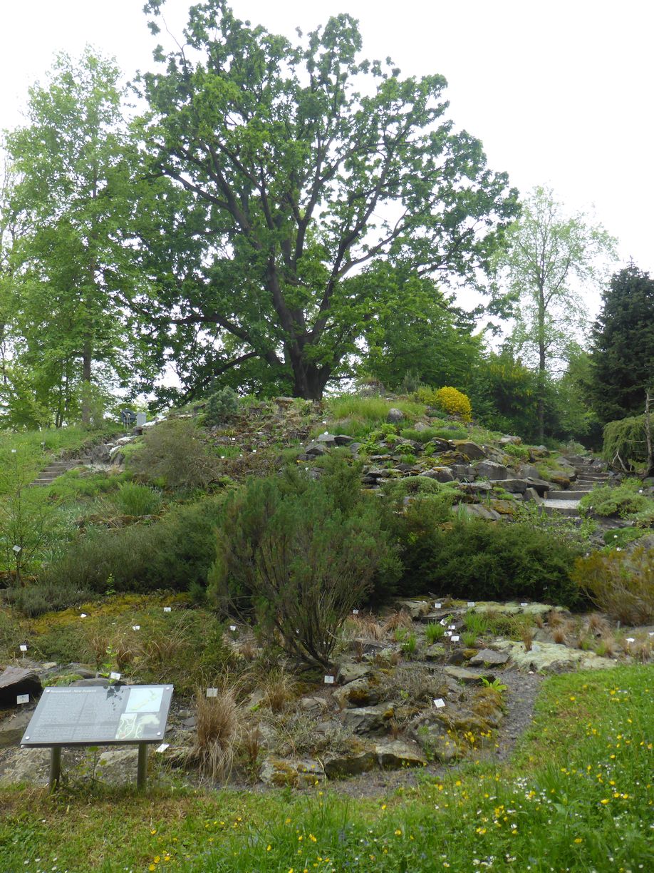 Jena_Botanischer_Garten_2025