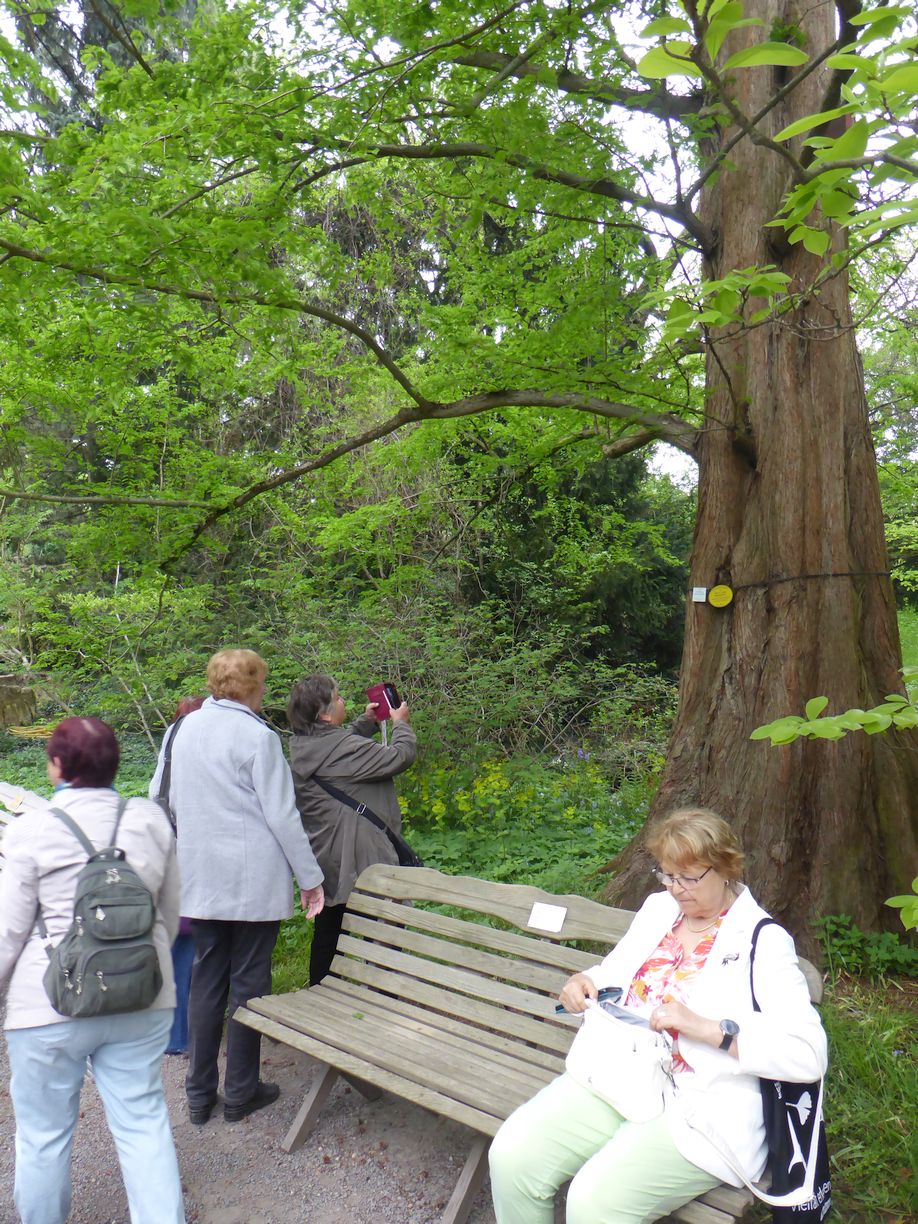 Jena_Botanischer_Garten_2025
