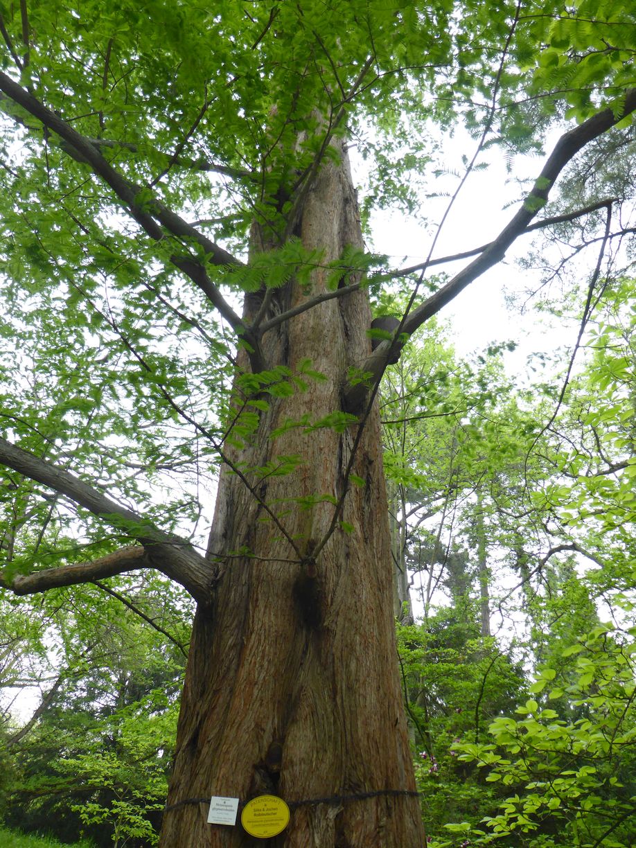 Jena_Botanischer_Garten_2025