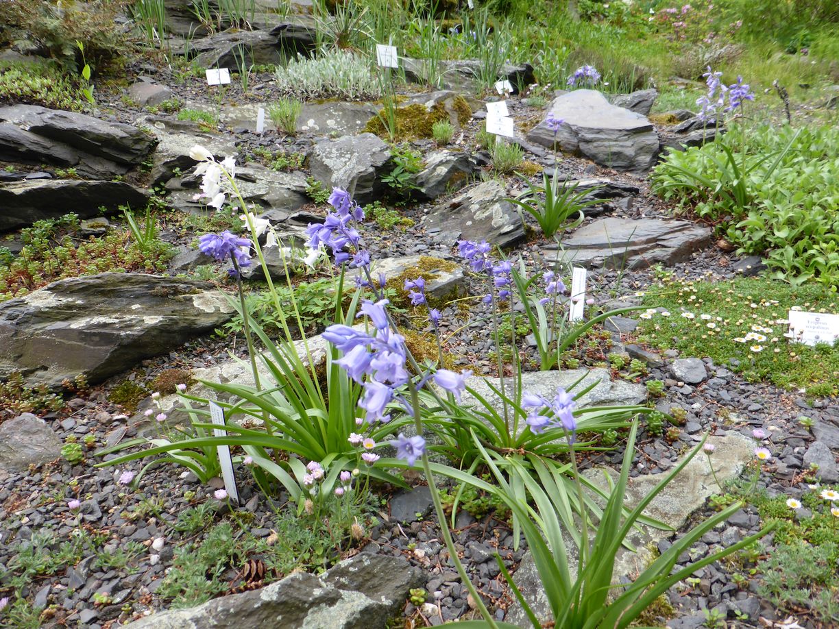 Jena_Botanischer_Garten_2025