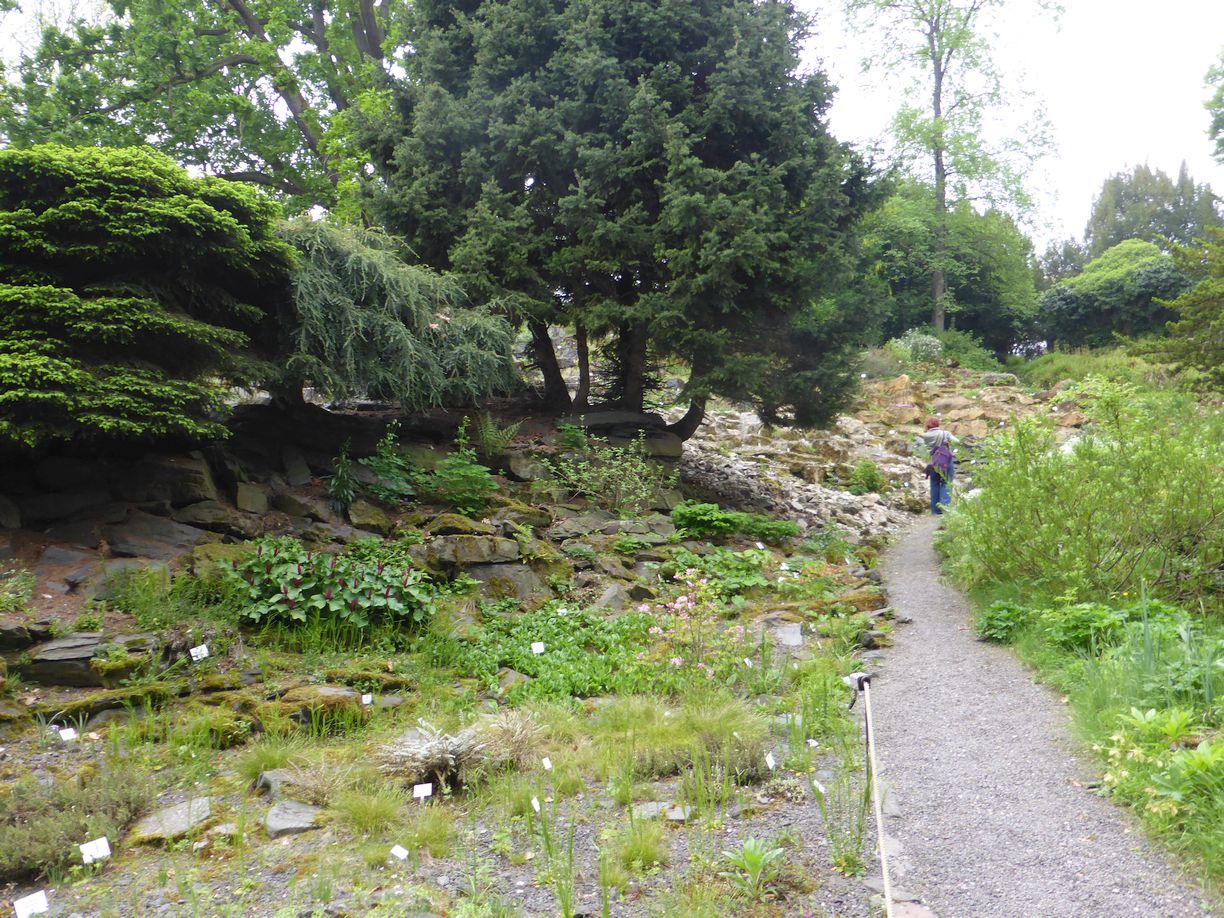 Jena_Botanischer_Garten_2025