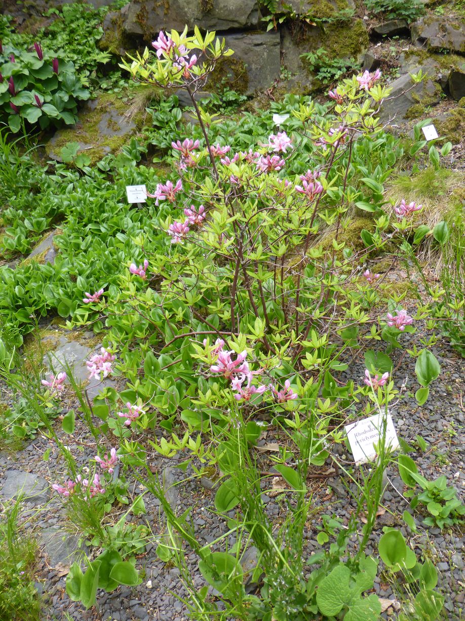 Jena_Botanischer_Garten_2025