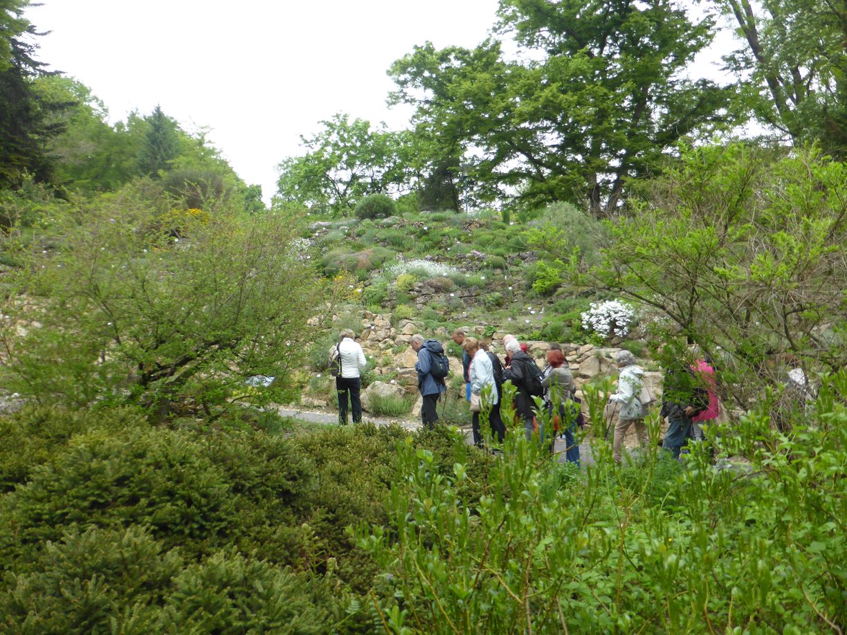 Jena_Botanischer_Garten_2025
