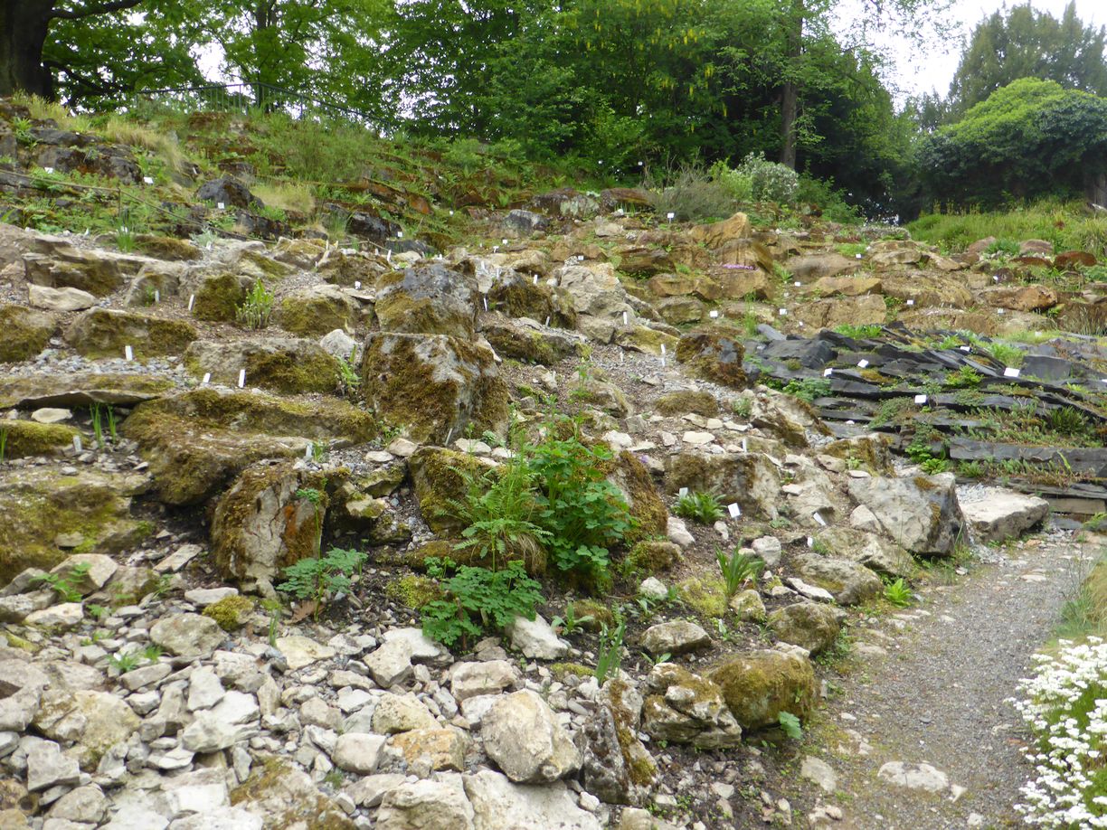 Jena_Botanischer_Garten_2025