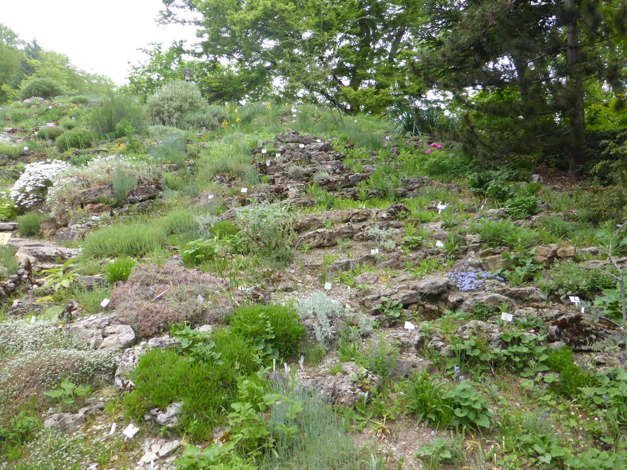 Jena_Botanischer_Garten_2025