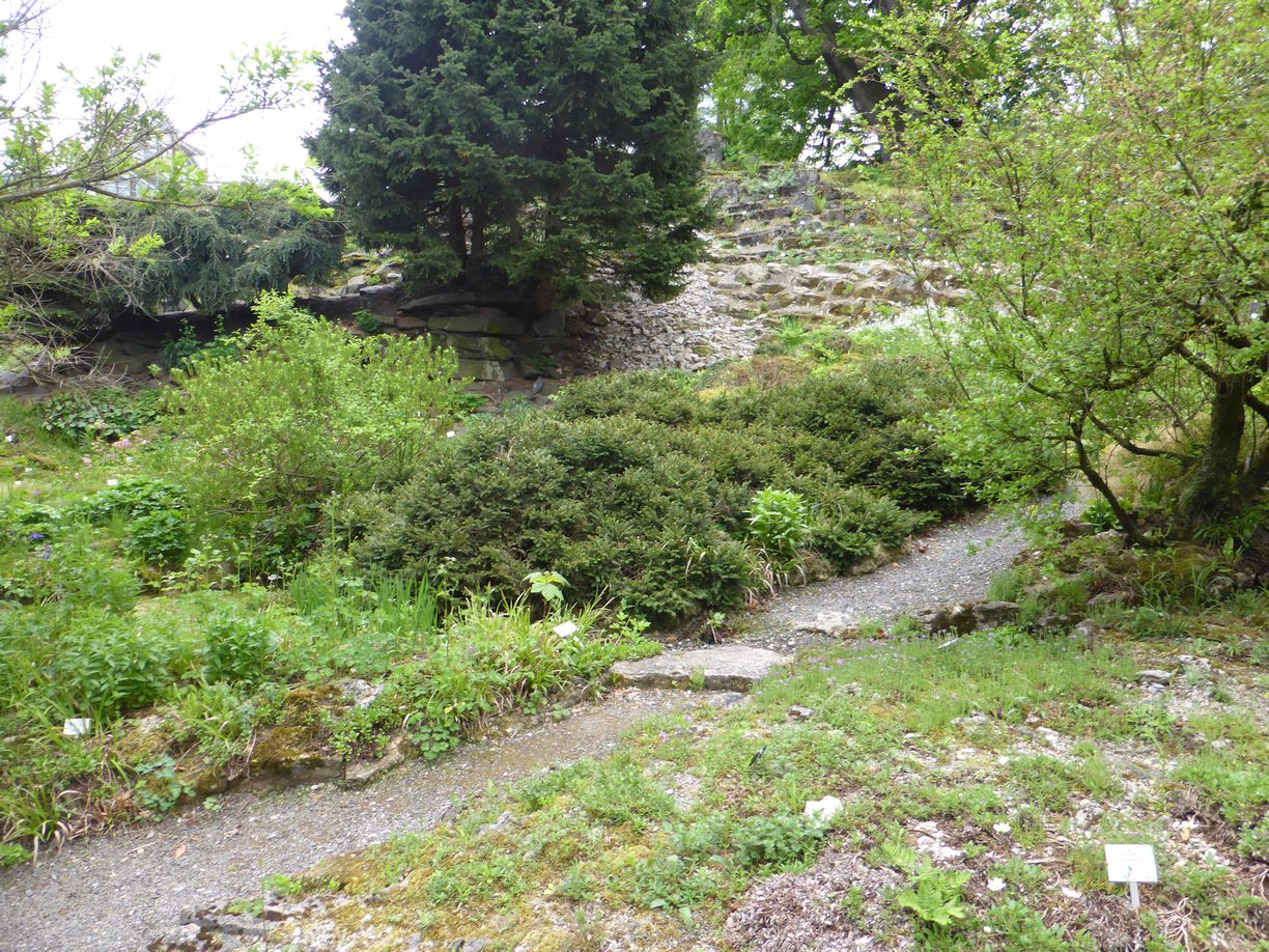 Jena_Botanischer_Garten_2025