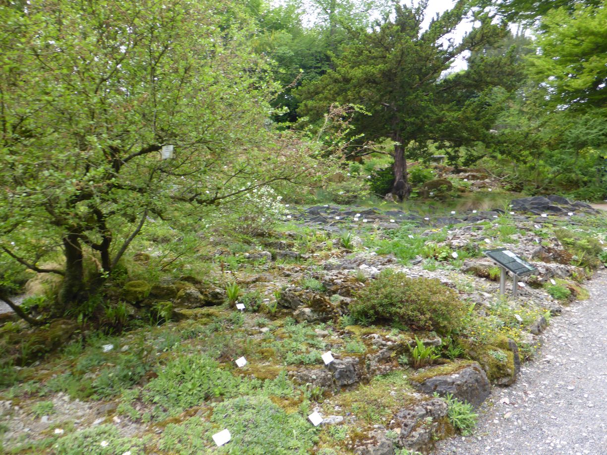 Jena_Botanischer_Garten_2025