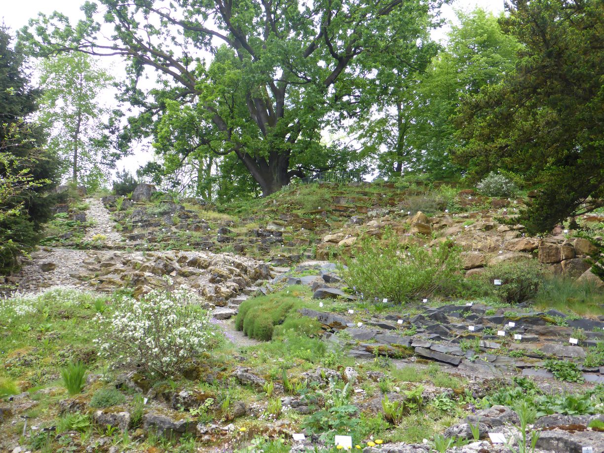 Jena_Botanischer_Garten_2025