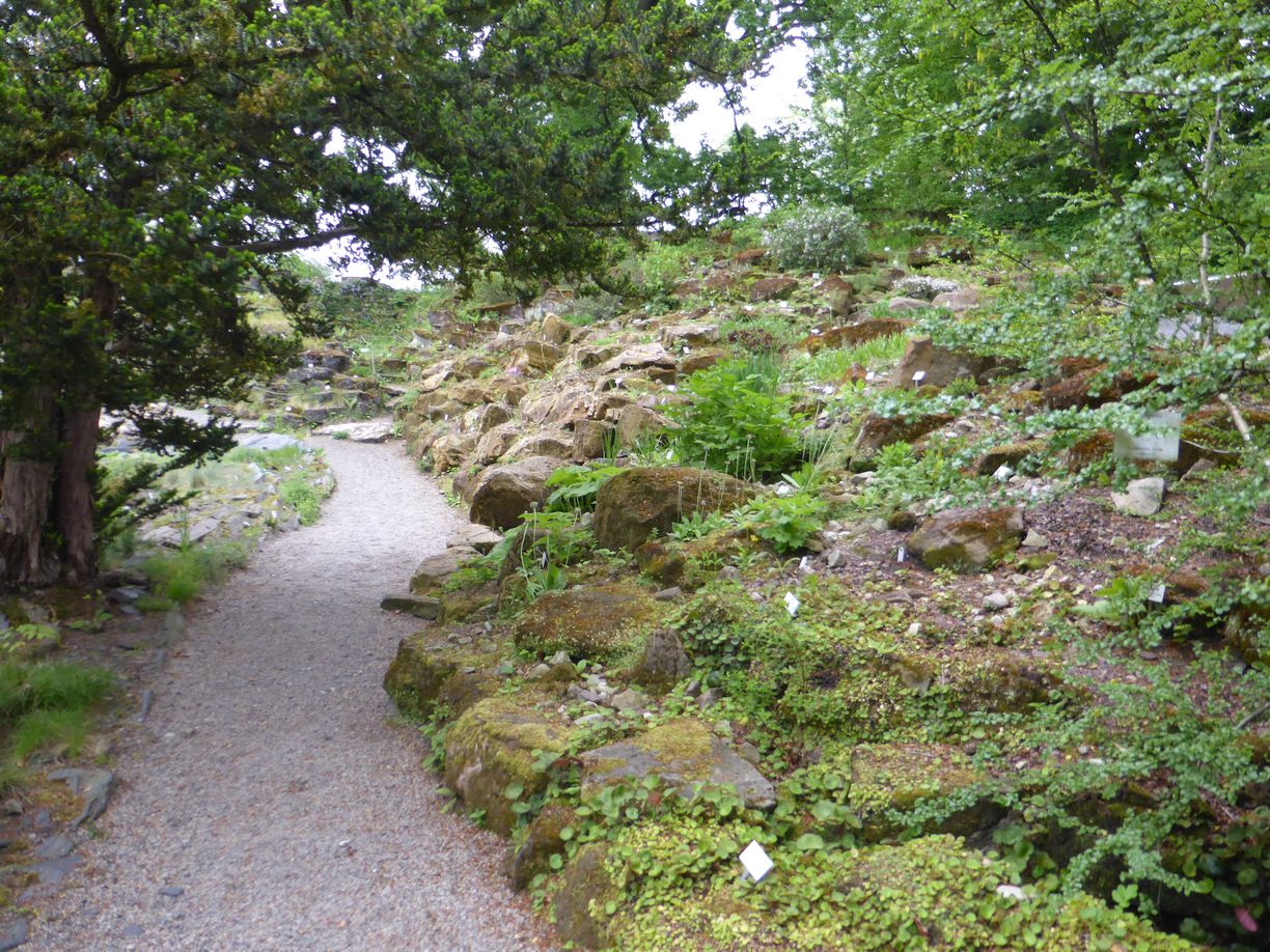 Jena_Botanischer_Garten_2025