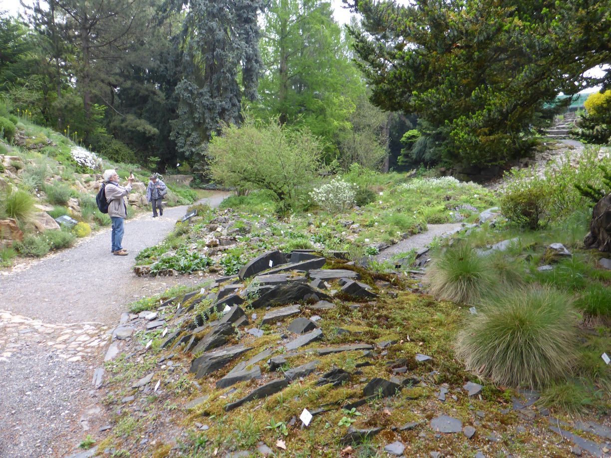 Jena_Botanischer_Garten_2025