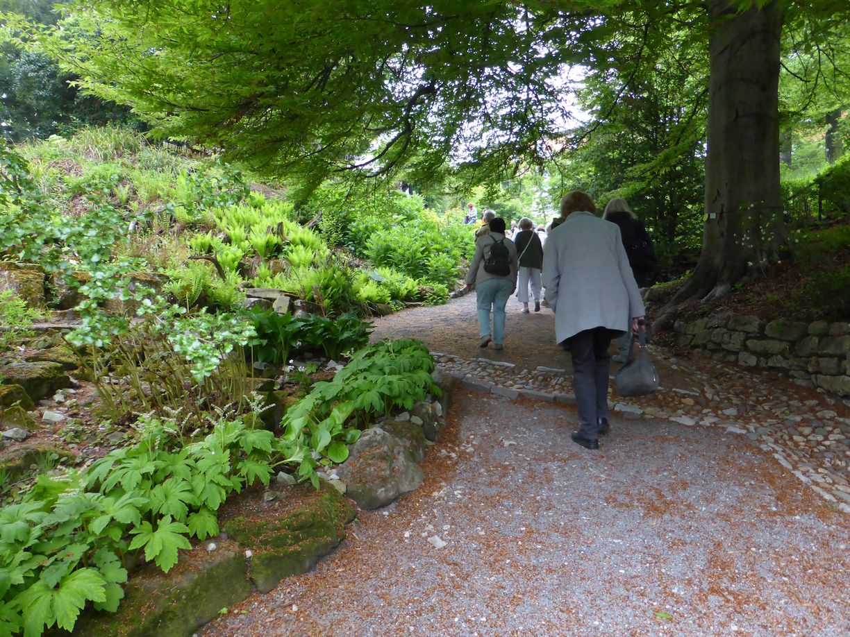 Jena_Botanischer_Garten_2025