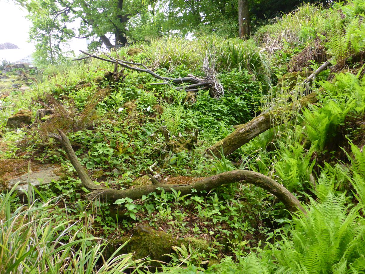 Jena_Botanischer_Garten_2025