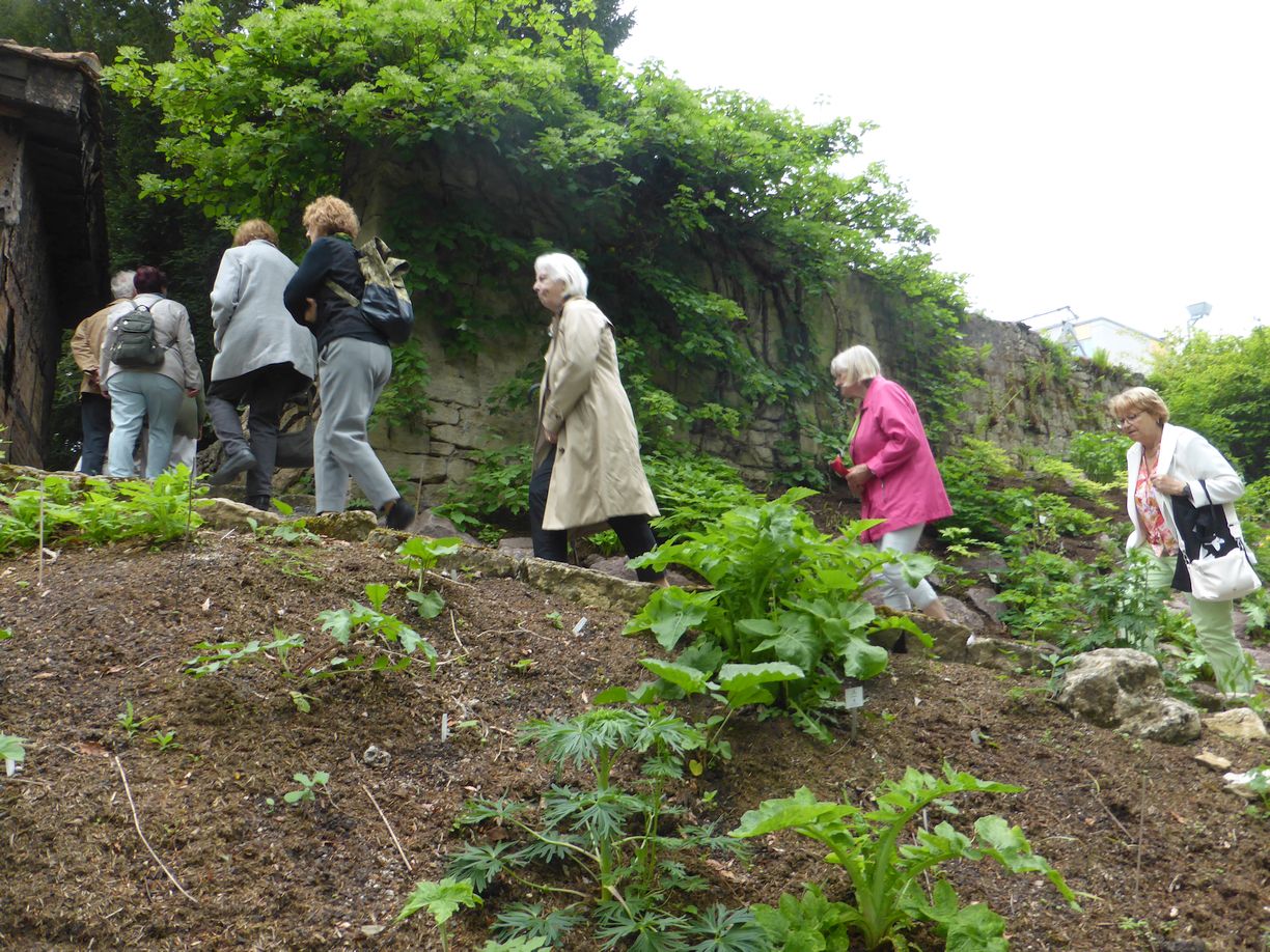 Jena_Botanischer_Garten_2025