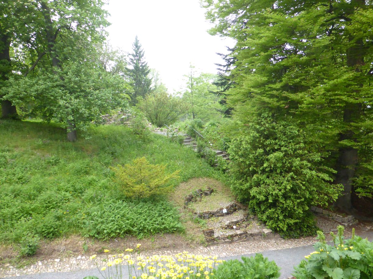 Jena_Botanischer_Garten_2025