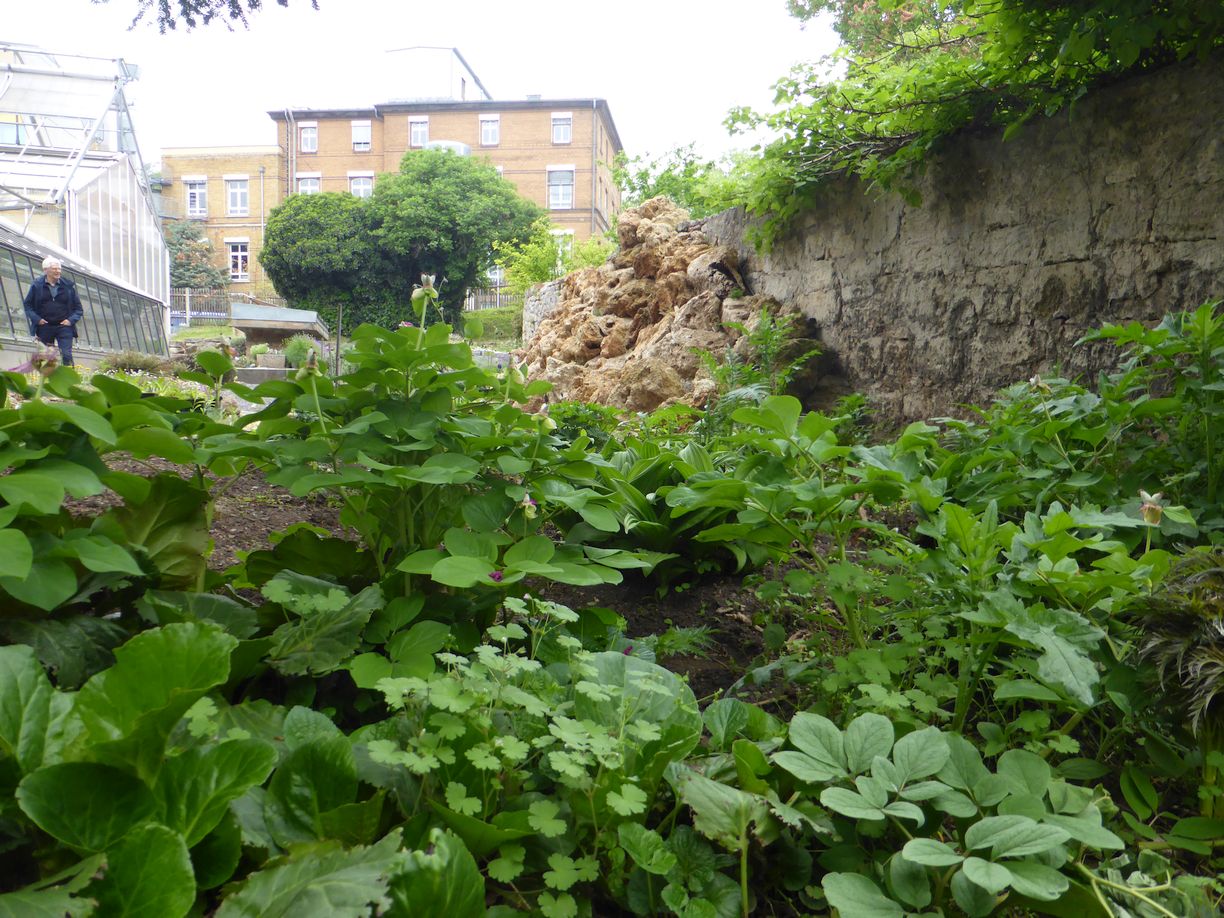 Jena_Botanischer_Garten_2025