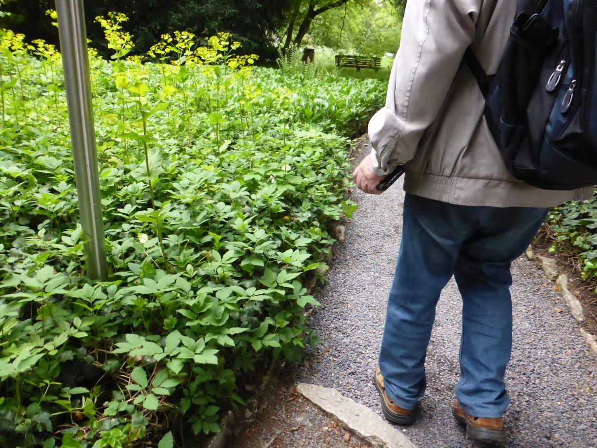 Jena_Botanischer_Garten_2025