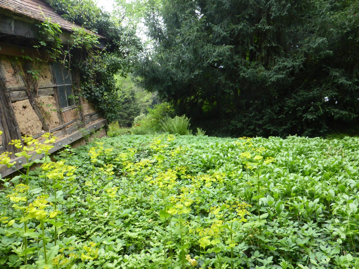 Jena_Botanischer_Garten_2025