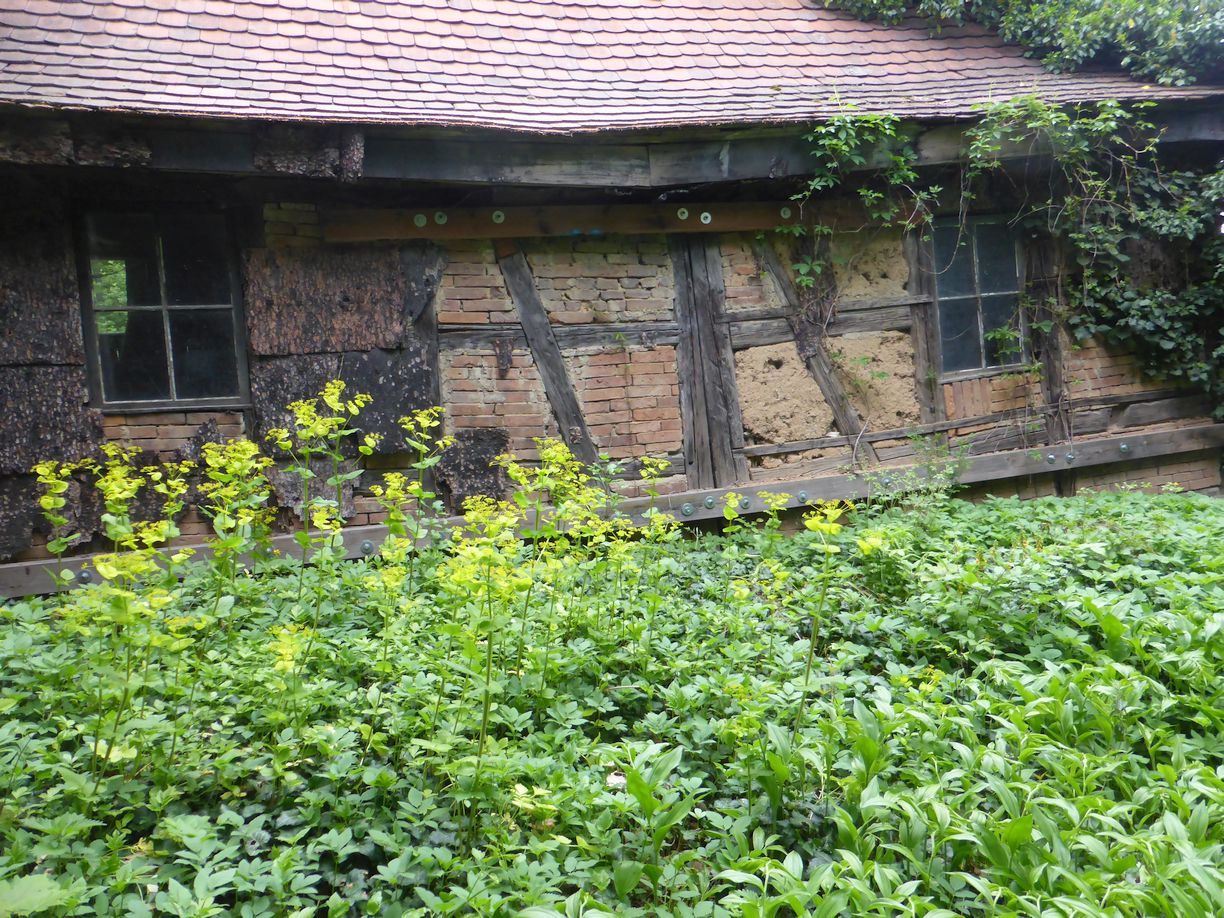 Jena_Botanischer_Garten_2025