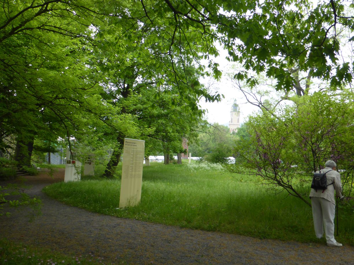 Jena_Botanischer_Garten_2025