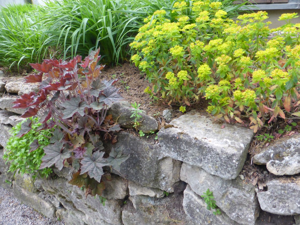 Jena_Botanischer_Garten_2025