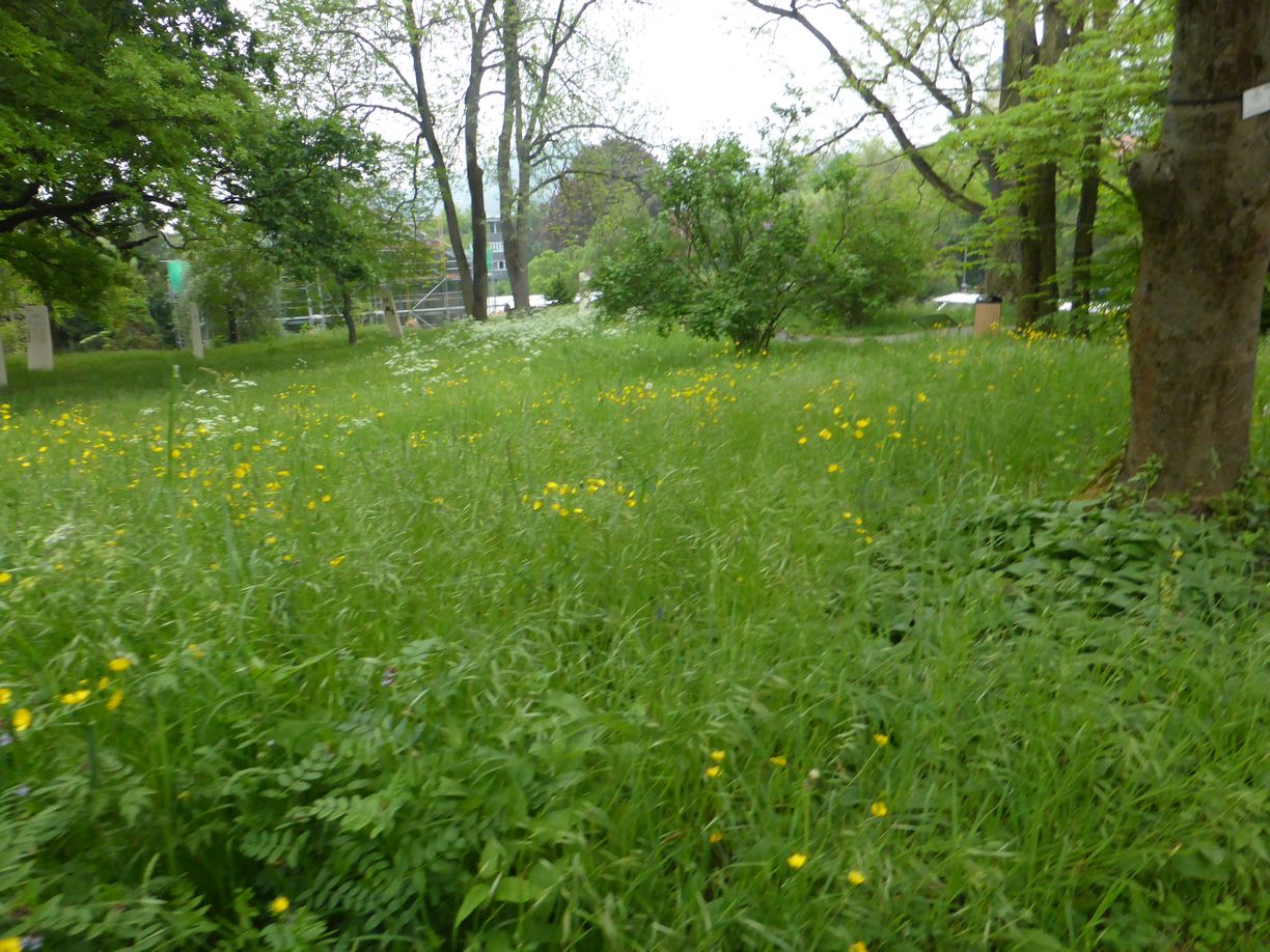 Jena_Botanischer_Garten_2025