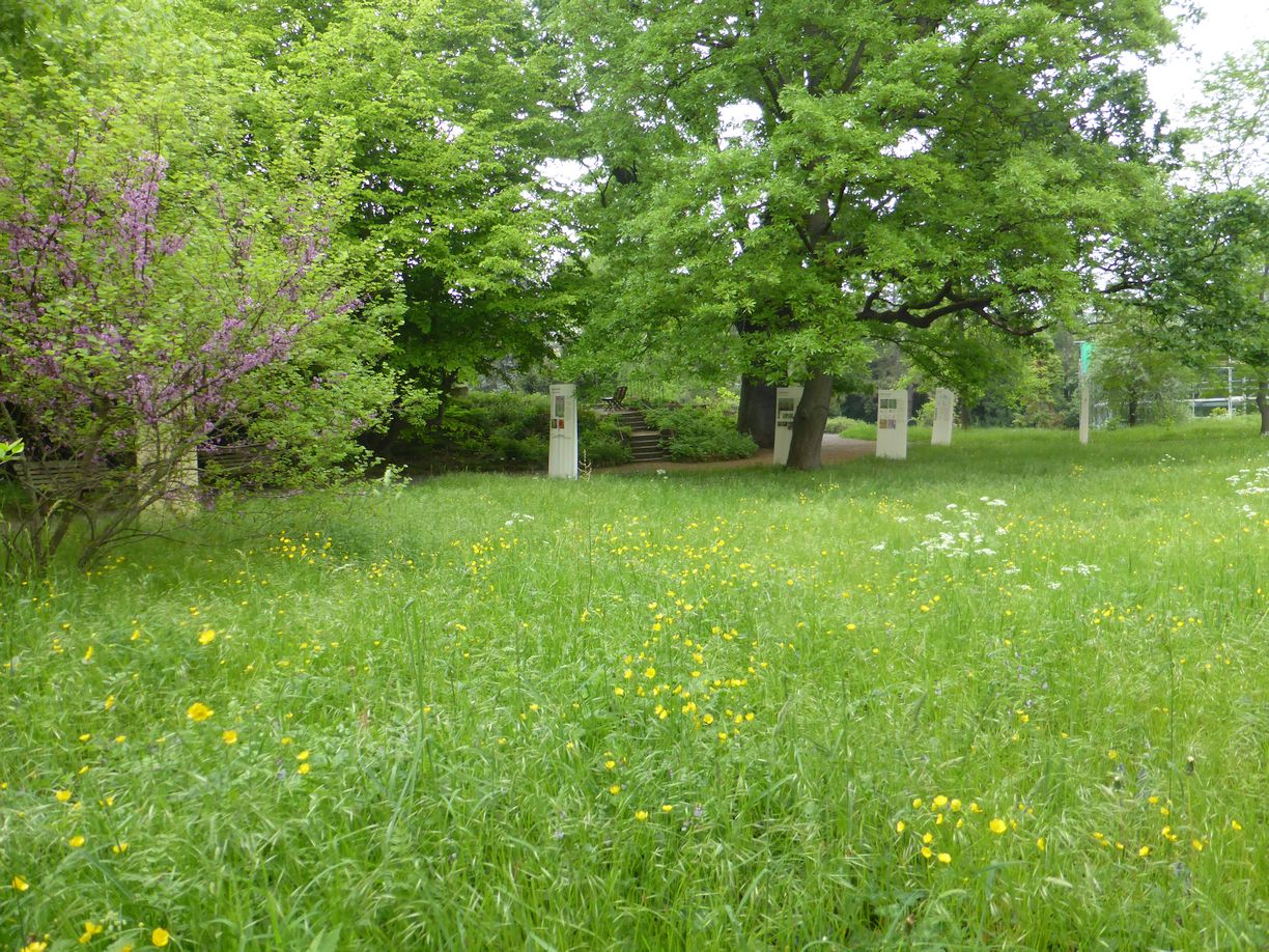 Jena_Botanischer_Garten_2025