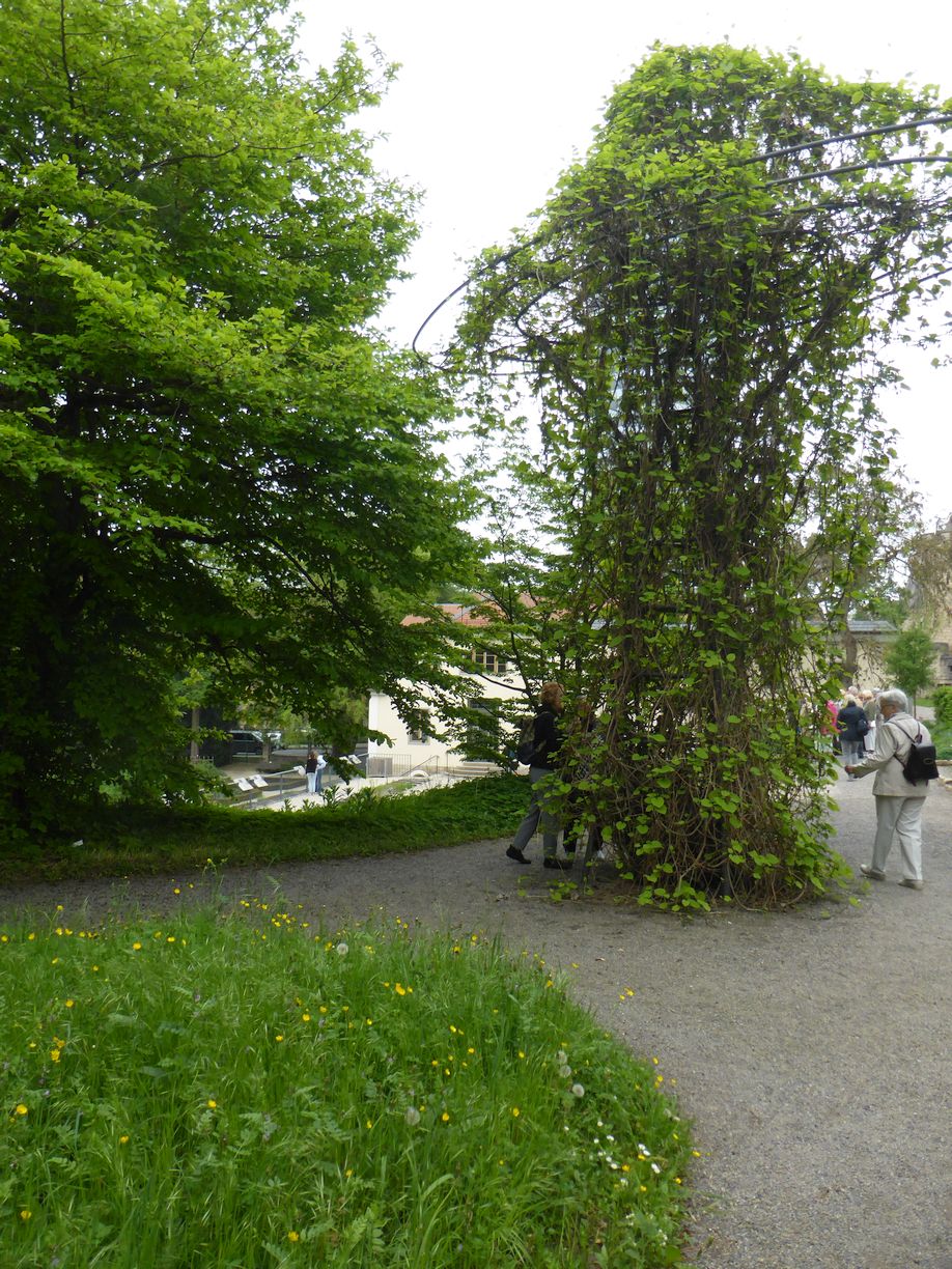 Jena_Botanischer_Garten_2025
