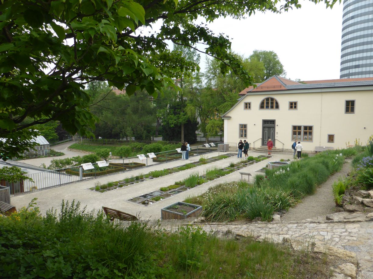 Jena_Botanischer_Garten_2025