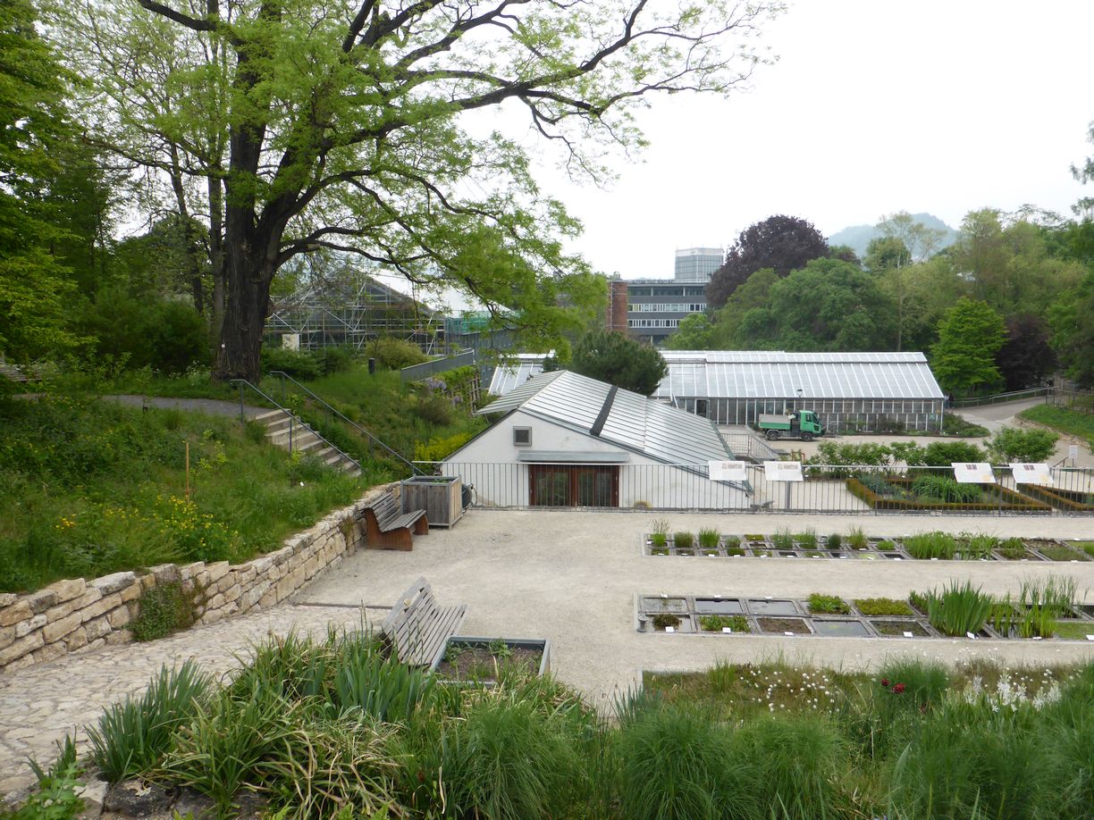 Jena_Botanischer_Garten_2025