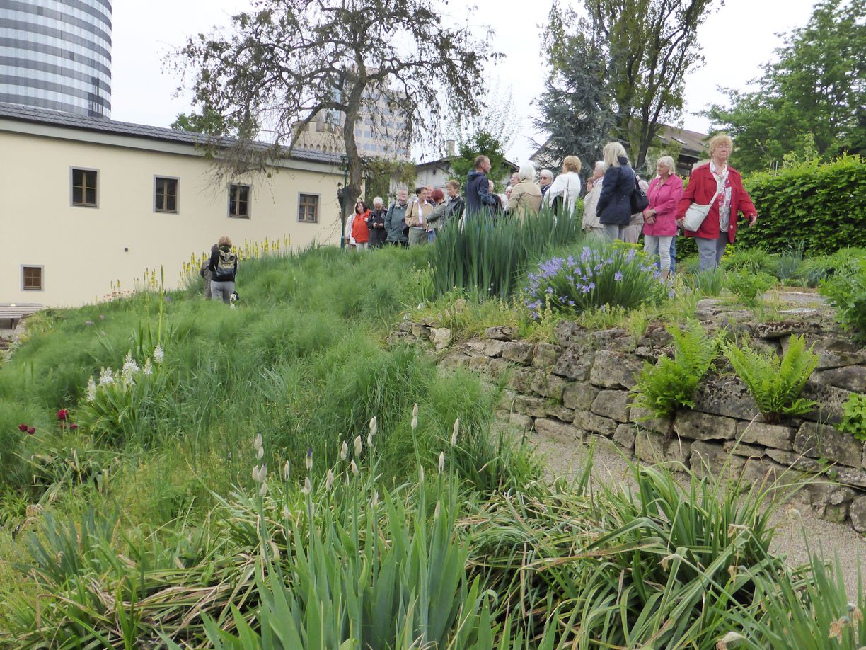 Jena_Botanischer_Garten_2025