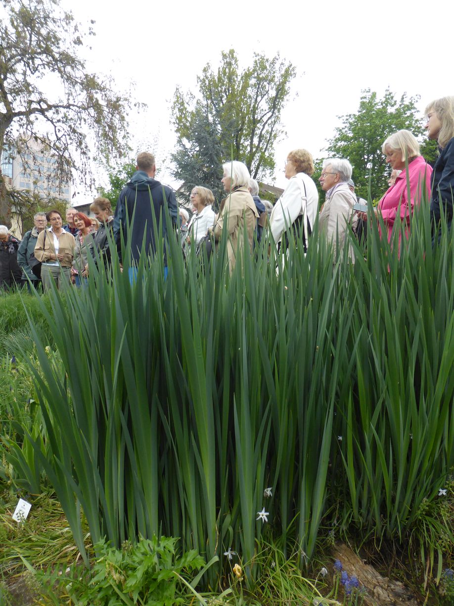 Jena_Botanischer_Garten_2025