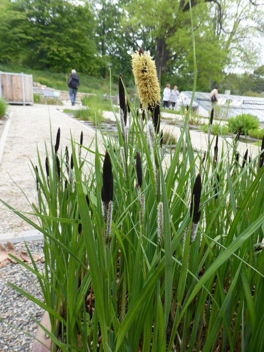 Jena_Botanischer_Garten_2025