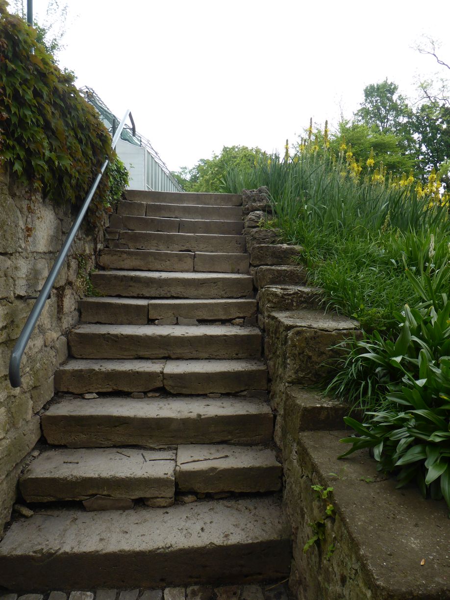 Jena_Botanischer_Garten_2025