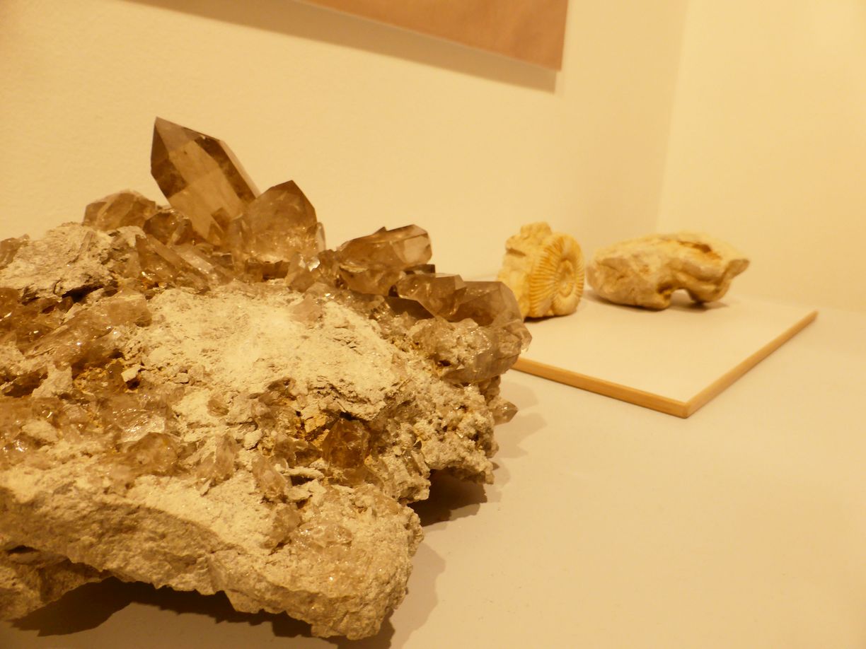 Jena_Botanischer_Garten_2025