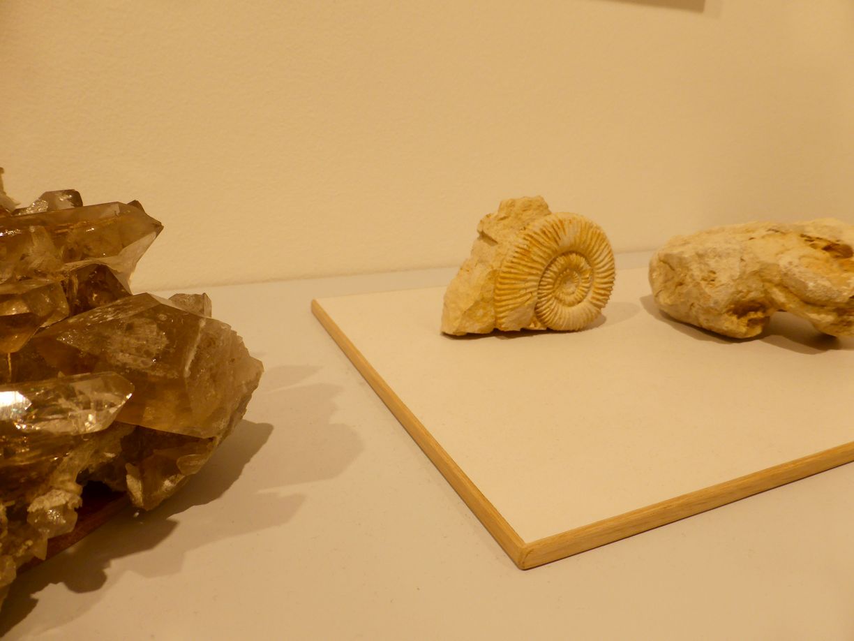 Jena_Botanischer_Garten_2025