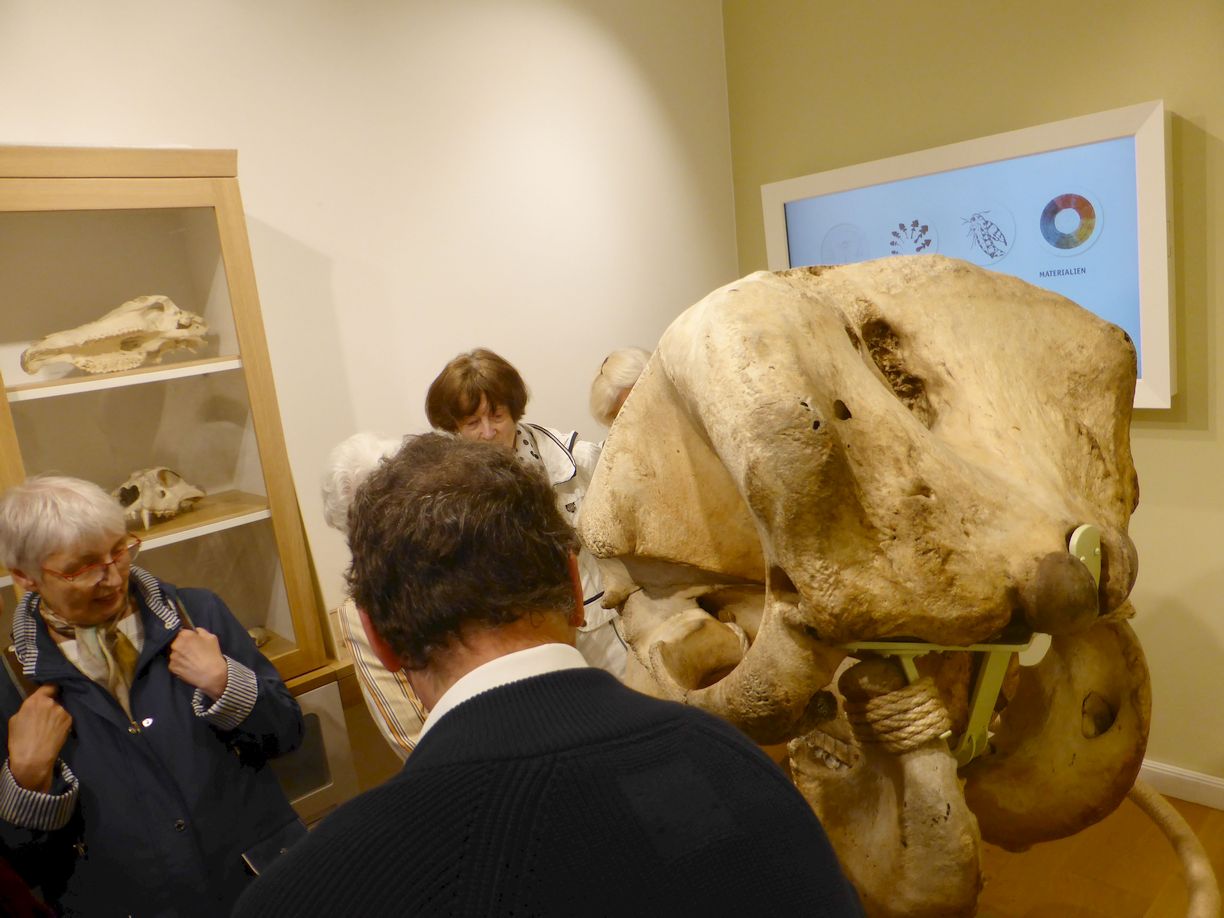 Jena_Botanischer_Garten_2025