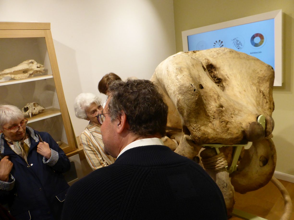 Jena_Botanischer_Garten_2025