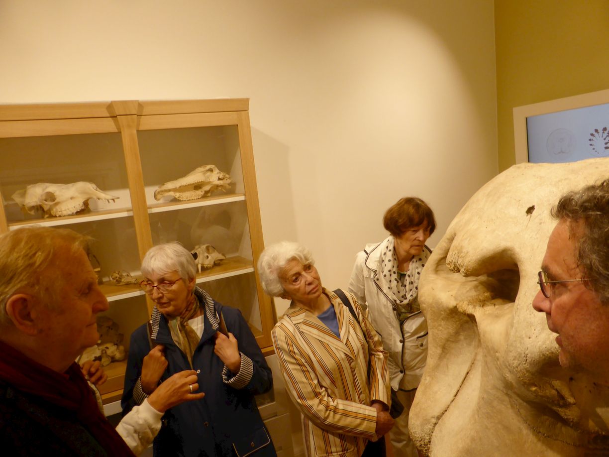 Jena_Botanischer_Garten_2025