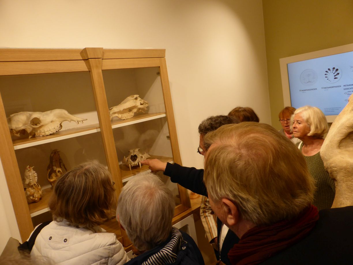 Jena_Botanischer_Garten_2025