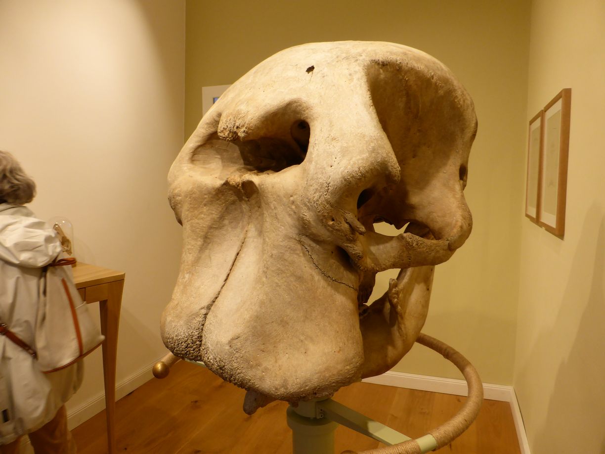 Jena_Botanischer_Garten_2025