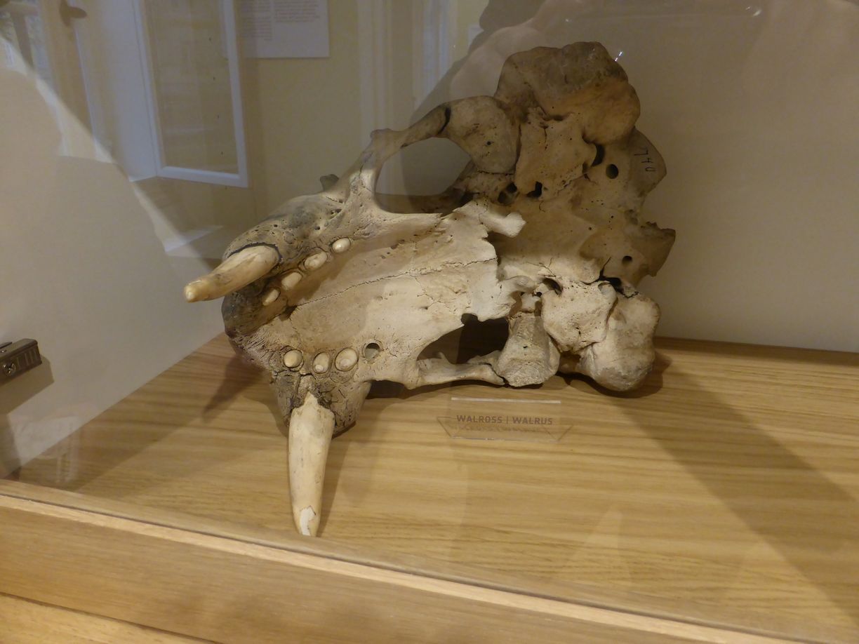 Jena_Botanischer_Garten_2025