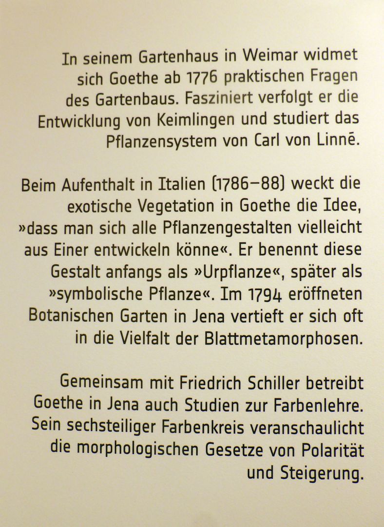 Jena_Botanischer_Garten_2025