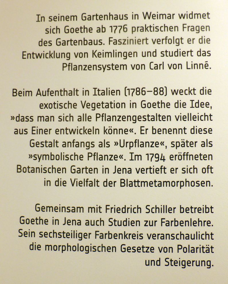 Jena_Botanischer_Garten_2025