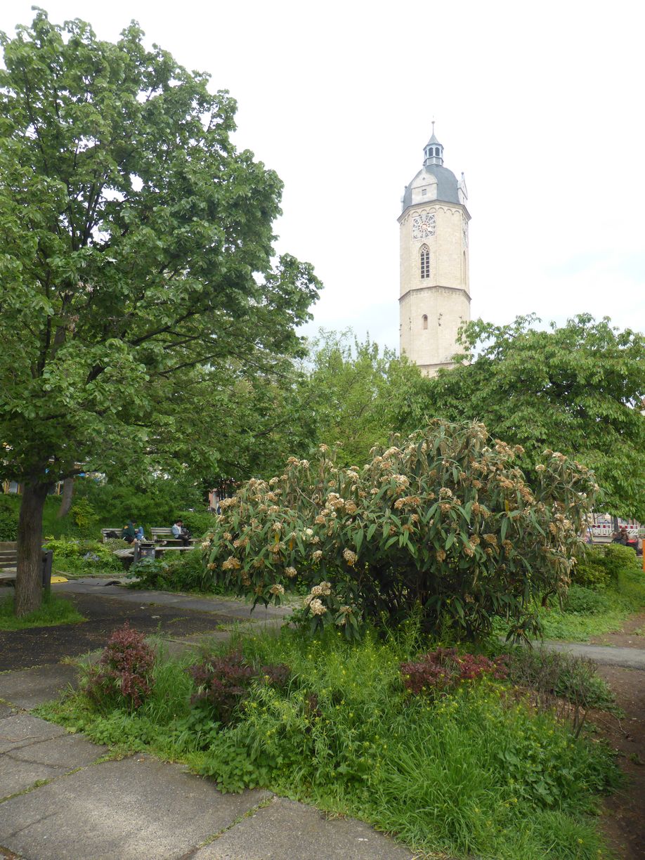 Jena_Botanischer_Garten_2025