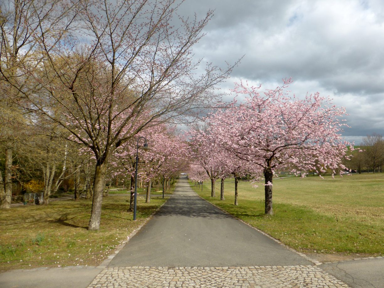 Kriegsopfergedenken_2025