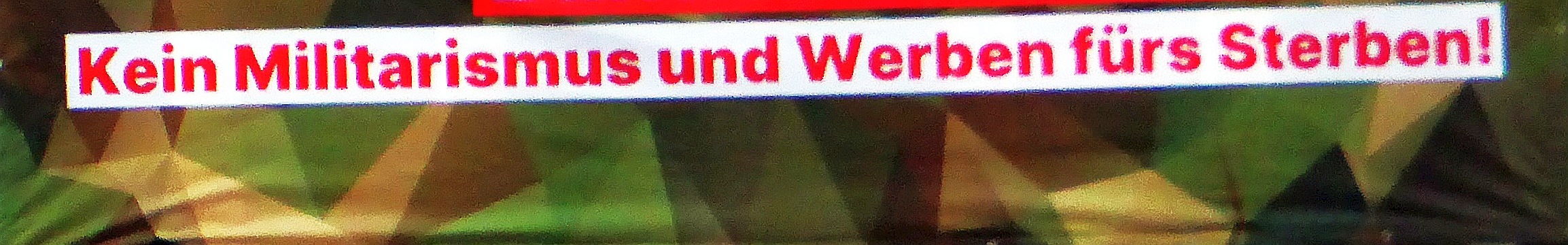 Kein_Werben_fuers_Sterben